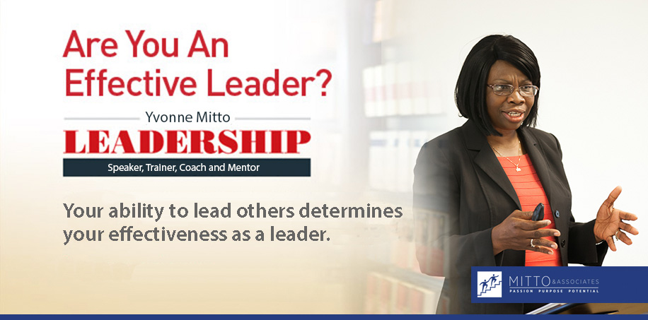 mitto & associates leadership